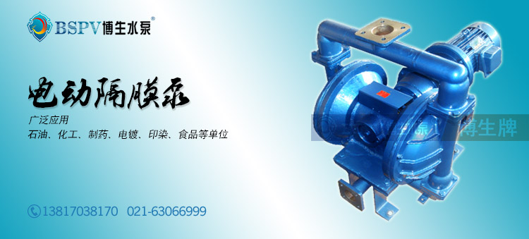 電動(dòng)隔膜泵